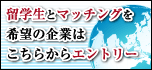 留学生とマッチングを希望の企業はこちらからエントリー